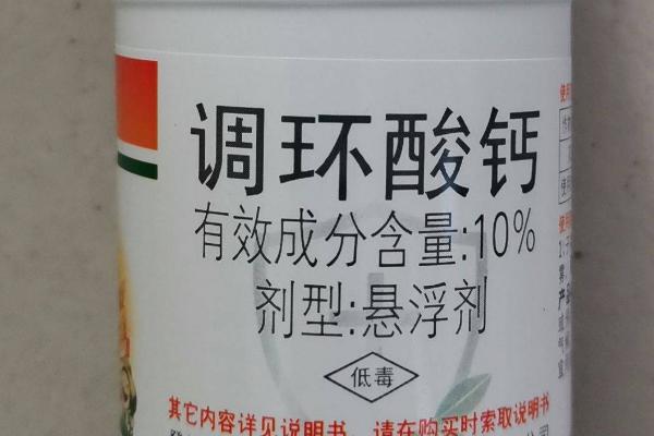 植物调节剂施用注意事项，这4点需留心