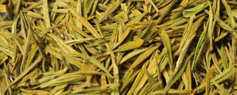 黄茶是什么茶