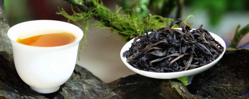 老枞水仙属于什么茶