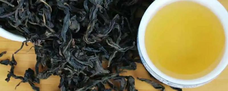 奇兰茶属什么茶