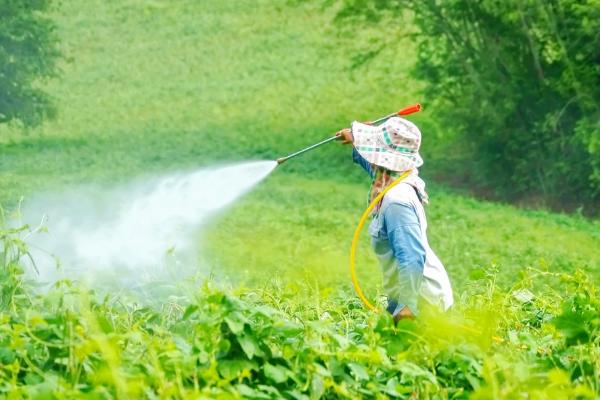 噻菌铜杀菌剂治什么病