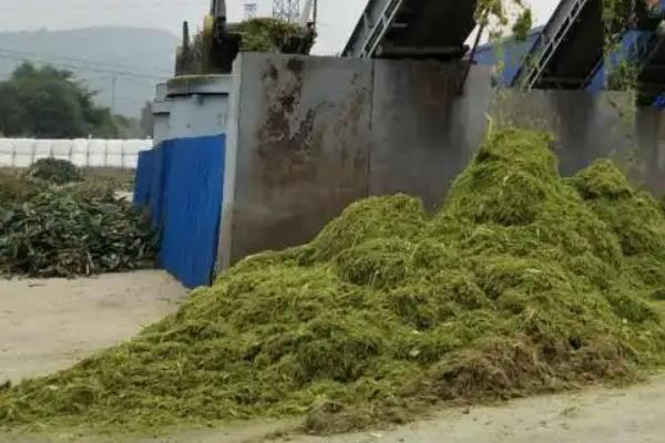 玉米秸秆的用途