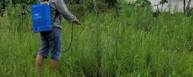 草甘膦铵盐的防治对象
