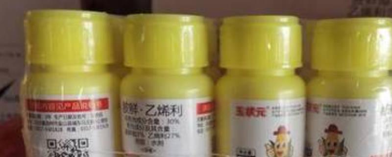 乙烯利药效期有多长