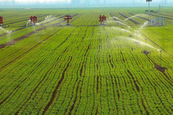 灌溉施肥有什么好处，可节水节肥、降低生产成本