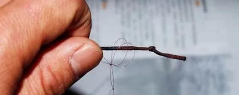 鱼线怎么绑鱼竿