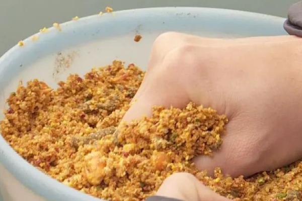 钓鲫鱼用什么饵料比较好，可使用蚯蚓、红虫、麦粒等饵料