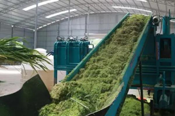 食用菌如何正确施肥，一般在出菇旺期和出菇后期施肥