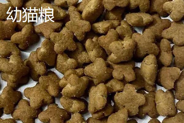 奶糕与幼猫粮有什么区别，奶糕适用于1-4月龄的小猫、幼猫粮适用于4-8月龄以上的猫咪