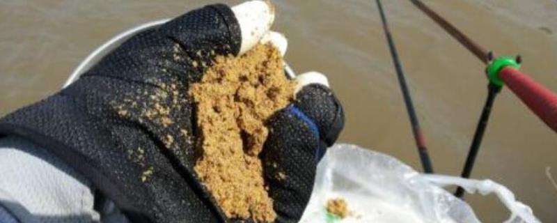 钓鲫鱼需要打窝吗
