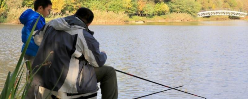 钓鱼如何选择鱼钩