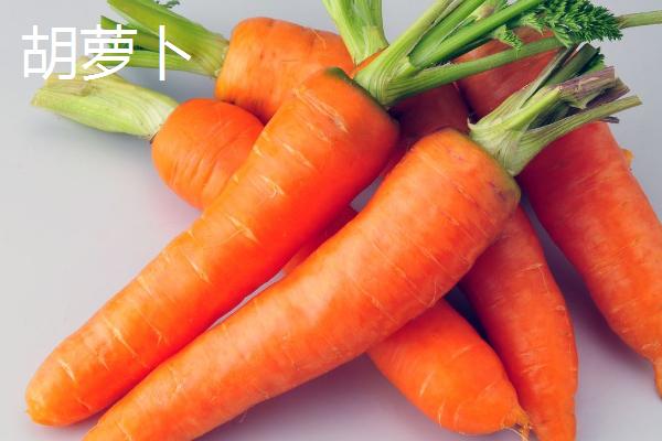 胡萝卜的收获时间，春季播种可在5-7月份收获