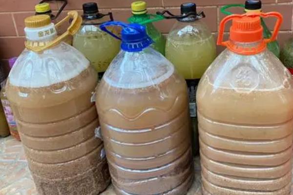 黄豆沤肥需要多久，所需时间为1-2个月左右