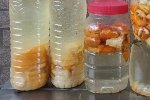 黄豆沤肥需要多久，所需时间为1-2个月左右