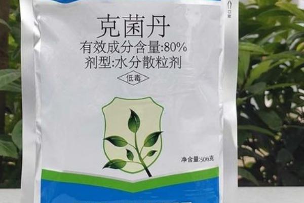 克菌丹主治什么病，杀菌谱广、应用方法比较多样