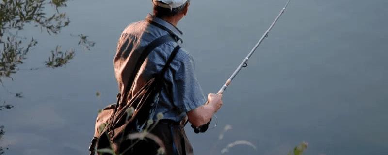 夏季钓位选择