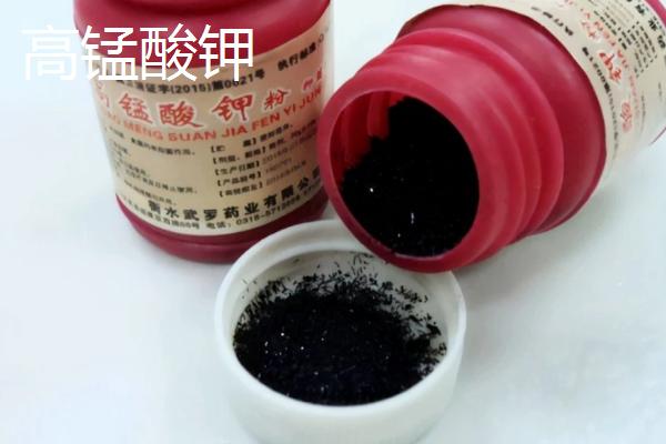 养鹦鹉鱼是否要在水中放盐，添加粗盐可起到杀菌消毒、平衡渗透压的作用