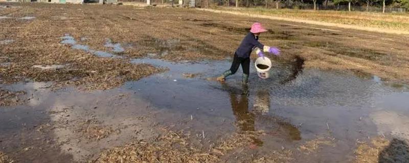 春耕时混施化肥要注意什么