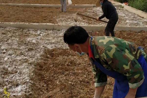 什么是测土配方施肥，通称平衡施肥