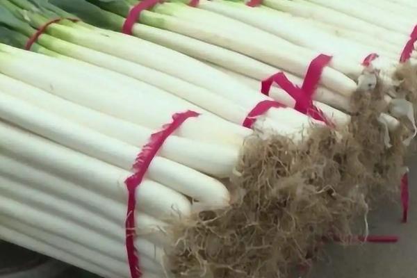 怎样冬储大葱，露天储存时需盖上薄膜