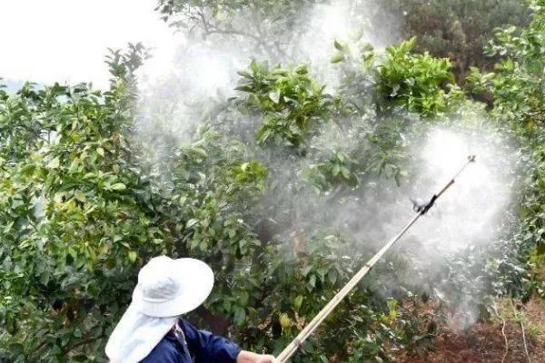 石硫合剂的忌用事项，一定要谨慎使用