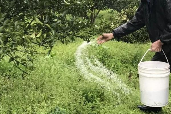 怎么提高肥料的利用率，可将化肥与农家肥结合使用
