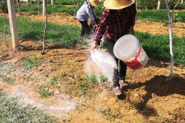 怎么提高肥料的利用率，可将化肥与农家肥结合使用