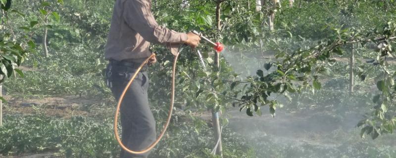 果尔除草剂使用方法