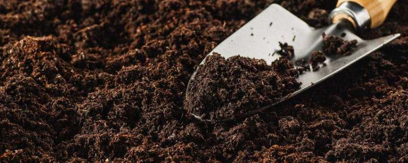 购买和使用微生物肥料的注意事项
