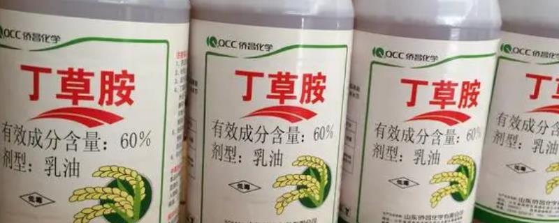 使用玉米苗前除草剂要注意什么
