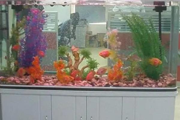 鱼鳞的作用,可以提供一定的保护作用