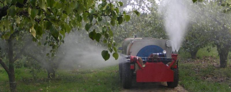 辛硫磷如何正确使用