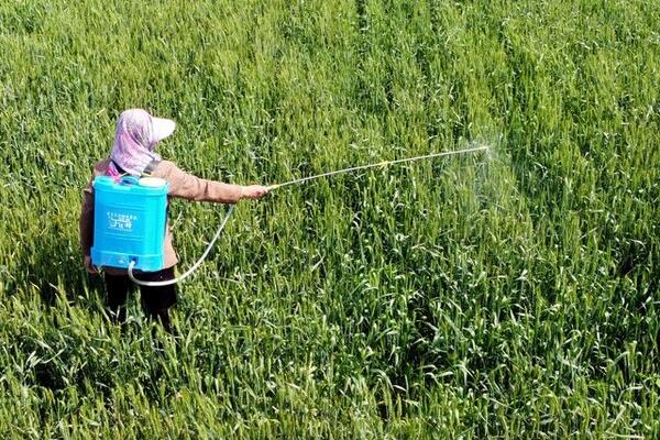 辛硫磷如何正确使用,针对不同的害虫用法不同