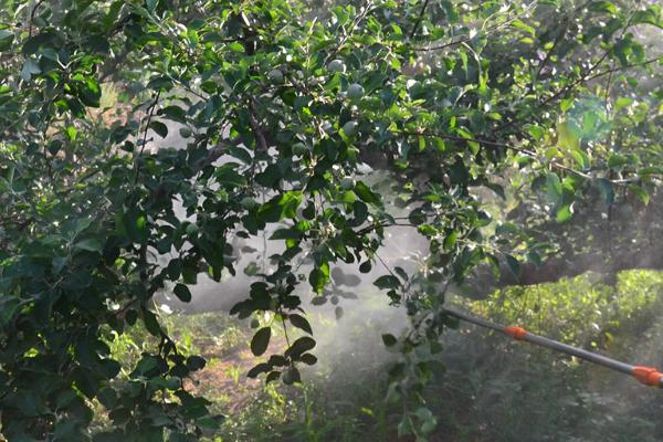 辛硫磷如何正确使用,针对不同的害虫用法不同