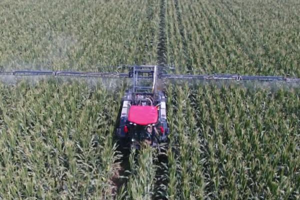 辛硫磷如何正确使用,针对不同的害虫用法不同