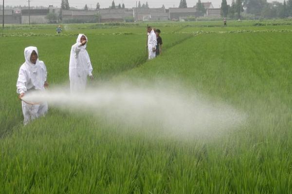 辛硫磷如何正确使用,针对不同的害虫用法不同