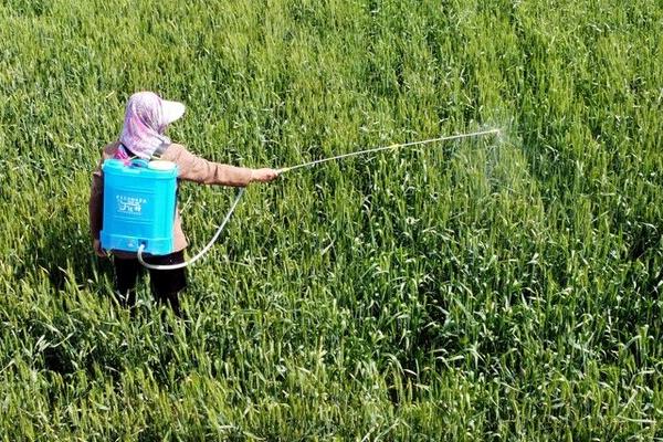 辛阿维乳油怎么使用,可在低龄幼虫盛发期兑水喷雾