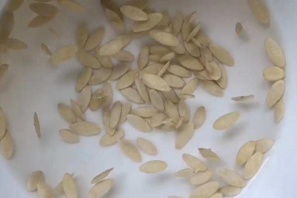 辛阿维乳油怎么使用,可在低龄幼虫盛发期兑水喷雾