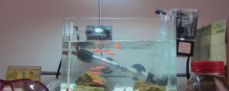 500w加热棒适用于多大的鱼缸