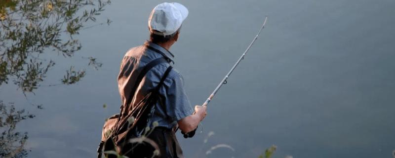 炎热天气要钓深还是钓浅