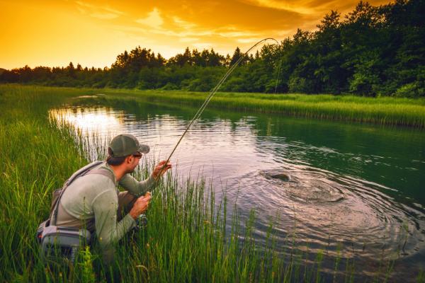 炎热天气要钓深还是钓浅,温度未超过30℃即可钓浅
