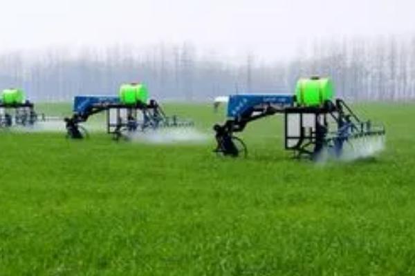 夏天喷药时间,适合在上午10点前、下午5点左右喷施