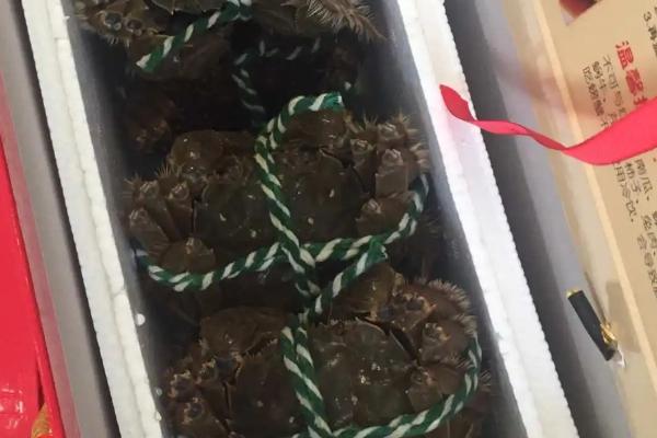 买回家的大闸蟹怎么保存,冷藏可以保存2-5天