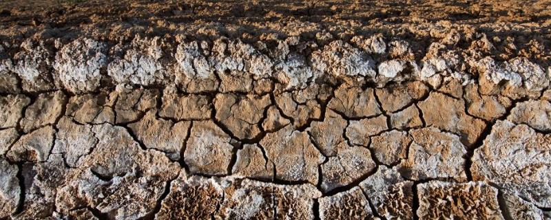 土壤发生盐害的原因