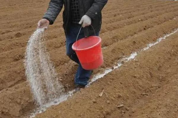 土壤发生盐害的原因,可能是过量使用氮肥等因素所导致