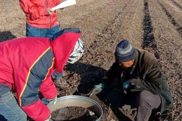 土壤发生盐害的原因,可能是过量使用氮肥等因素所导致