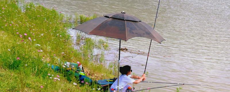 高温天气钓鱼用什么饵料