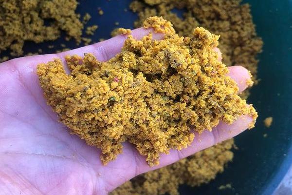 高温天气钓鱼用什么饵料,使用素饵更加合适