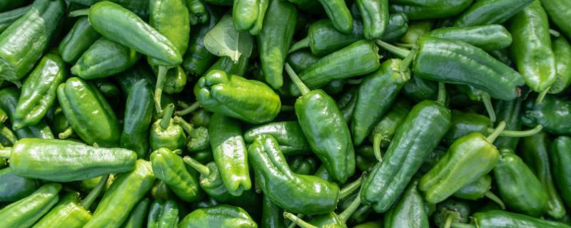 青椒怎么挑选