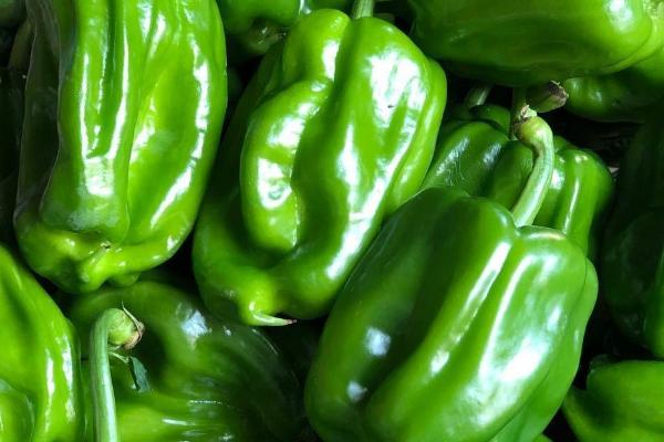 青椒怎么挑选,外观新鲜、明亮的青椒品质较好